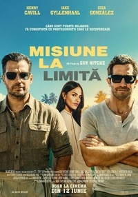 Poster In the Grey (DUB) RU